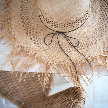 Fereniki's Place アパート ガイオス